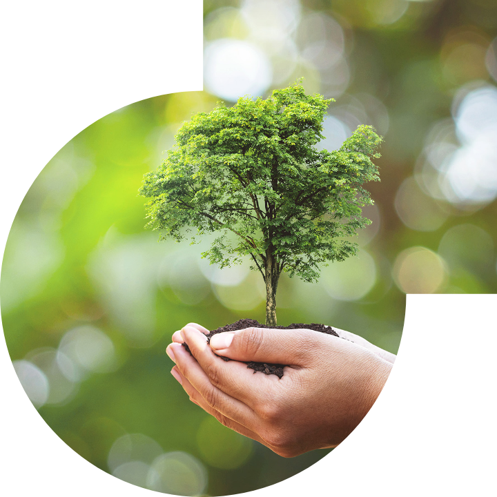 关怀人类、文化、环境与社会